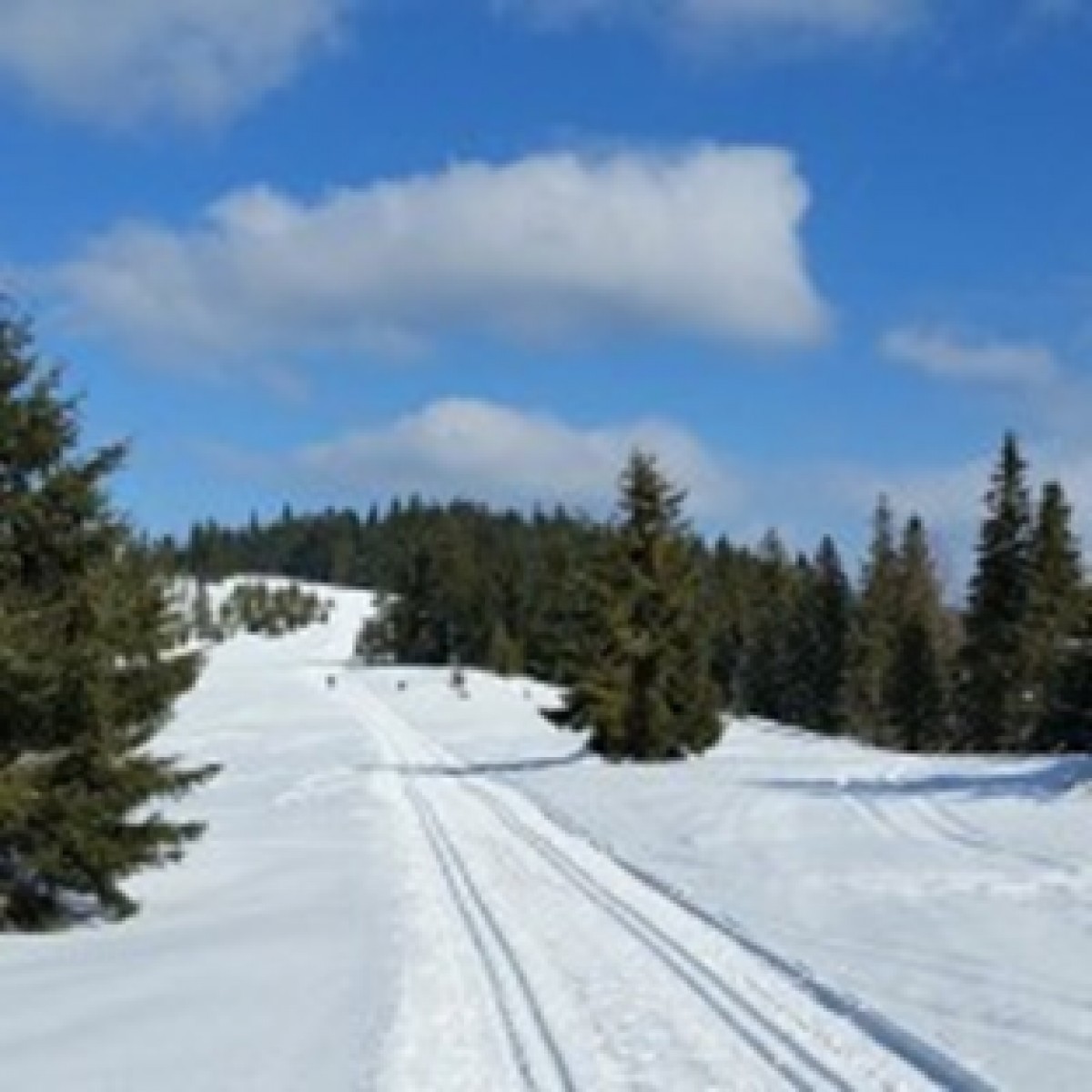 Śladami Olimpijczyków - na narty biegowe do Obidowej i Klikuszowej -  zapraszamy do lektury ósmego wpisu na blogu EUWT TATRY!
